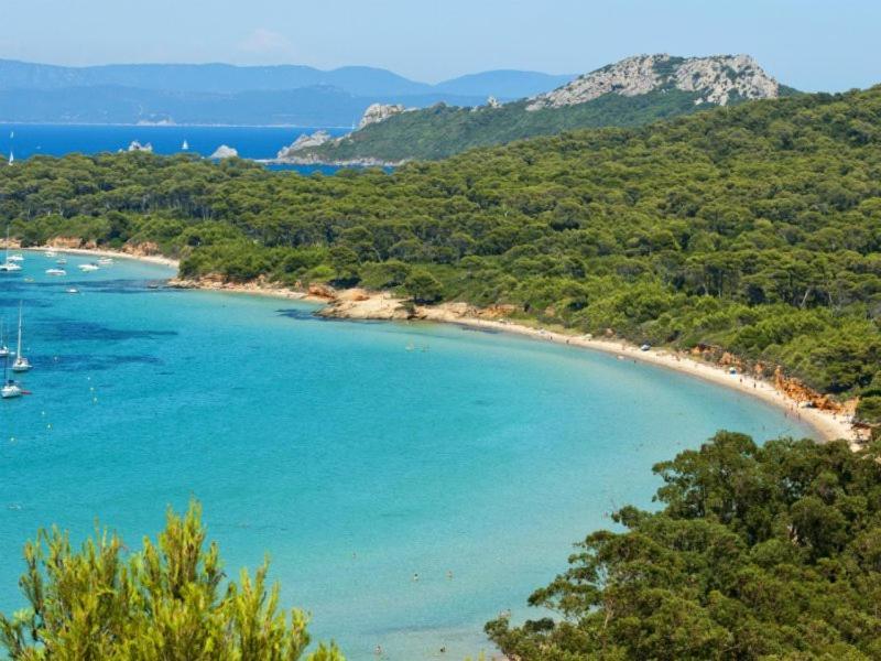 Bergerie Renove Clim Balneo Piscine Jardin Mediterraneen *