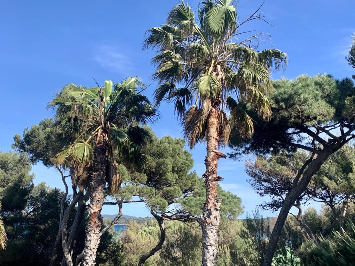 Bergerie Renove Clim Balneo Piscine Jardin Mediterraneen Apartment